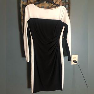 Fitted Office wear/Professional Dress